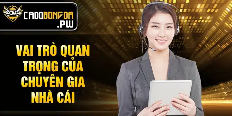 Vai trò quan trọng của chuyên gia nhà cái 