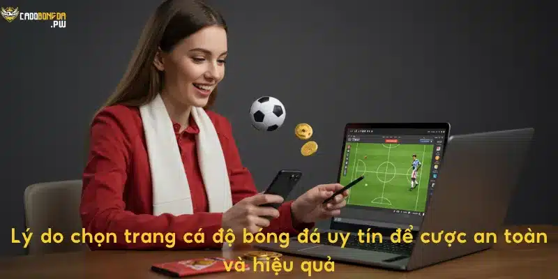 Lý do chọn trang cá độ bóng đá uy tín để cược an toàn và hiệu quả