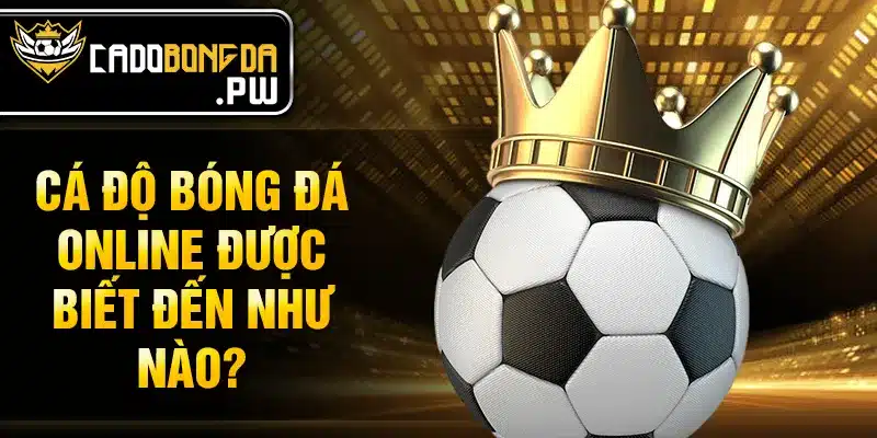 Cá độ bóng đá online được biết đến như nào?