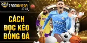 Cách đọc kèo bóng đá