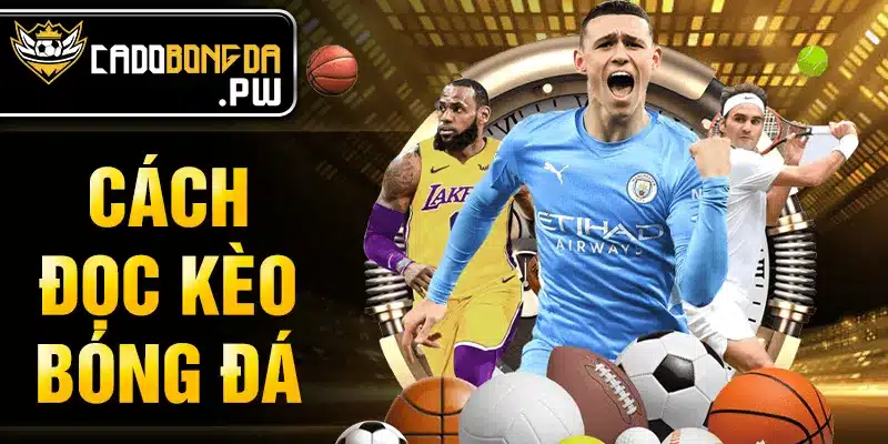 Cách đọc kèo bóng đá