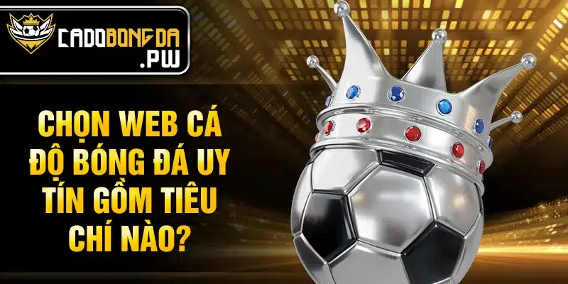 Chọn web cá độ bóng đá uy tín gồm tiêu chí nào?
