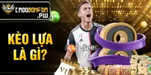 Kèo lựa là gì?