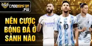 Nên cược bóng đá ở sảnh nào