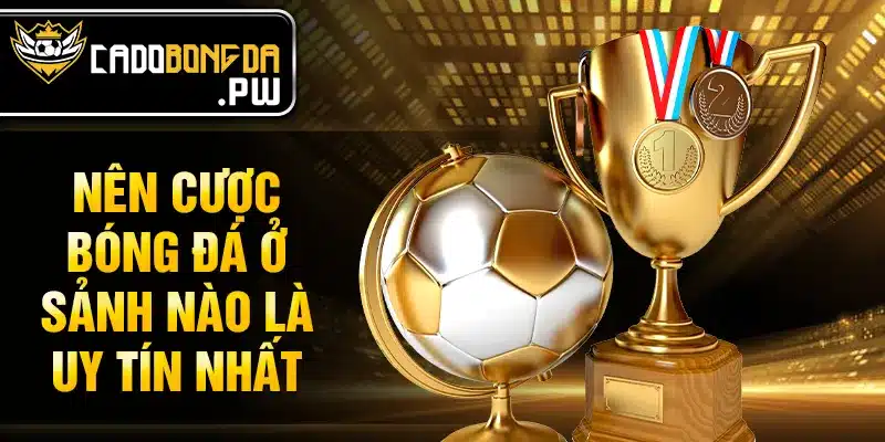 Nên cược bóng đá ở sảnh nào là uy tín nhất