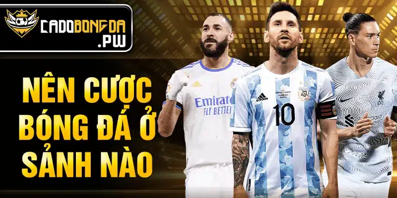 Nên cược bóng đá ở sảnh nào