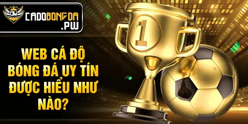 Web cá độ bóng đá uy tín được hiểu như nào?