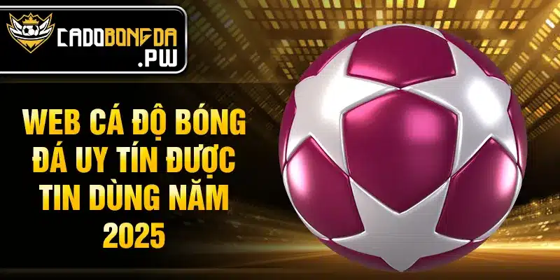 Web cá độ bóng đá uy tín được tin dùng năm 2025