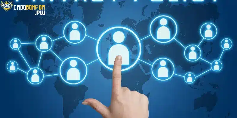 Cách cadobongda sử dụng dữ liệu người dùng để nâng cao trải nghiệm cá độ