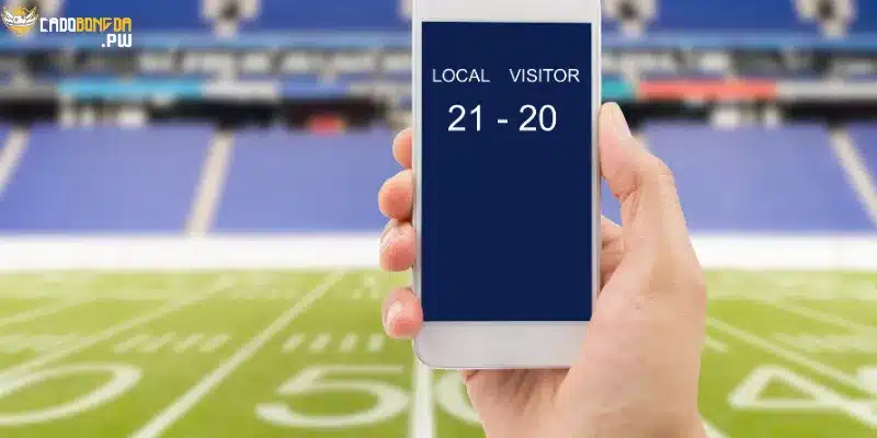 Cách để cá độ bóng đá cho người mới (kèm theo 14+ mẹo cược cực khét)